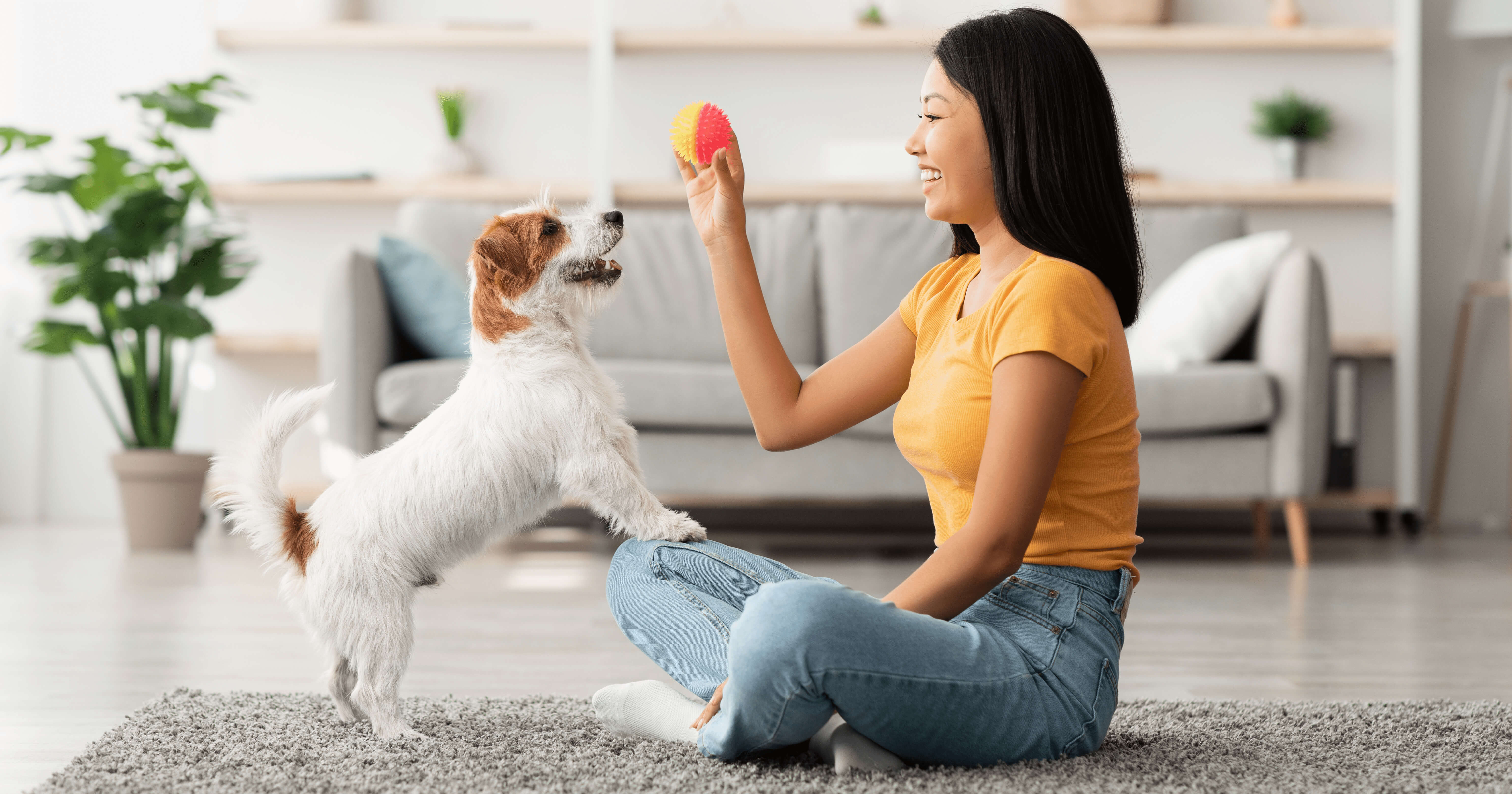 Dein Hund Bleibt Allein Zuhause 13 Tipps Die Ihm Dabei Helfen 